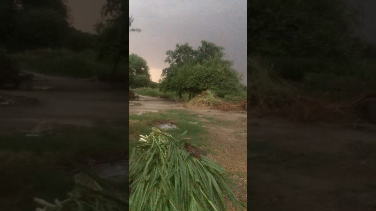 بارش کے بعد ابھی کا منظر||Now After rain weather