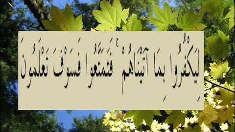 القران الكريم سورة الروم الأية 34.wmv