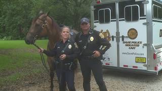Davie Police Horse Safety 2017 screenshot 3
