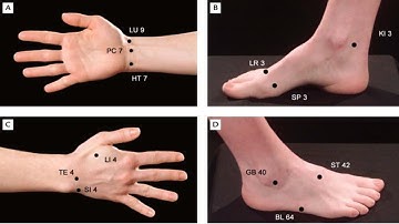 YUAN-SOURCE POINTS ("CLASSIC OF DIFFICULTIES")