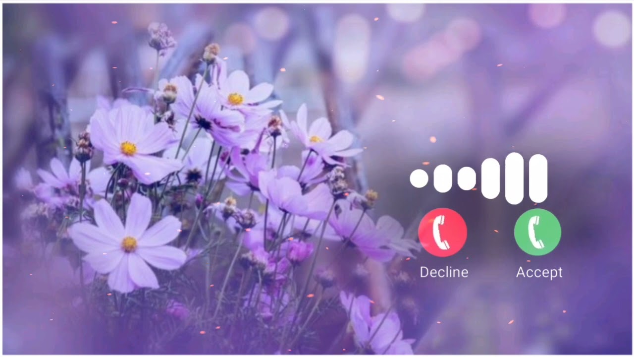 : Ring.Tone.Download | Free Ringtones for Mobile Download Now 🥰