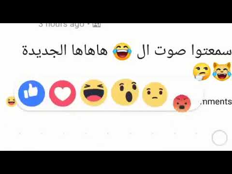 صوت الهاها الجديد