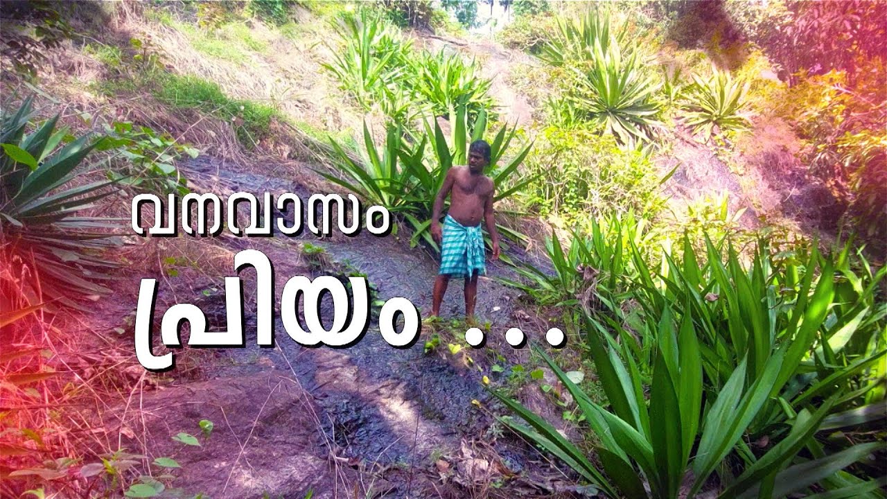 ജീവനോടെ എന്തും തിന്നുന്ന അപൂർവ്വ മനുഷ്യൻ സുരേഷ് മേപ്പാടി |  Suresh Meppadi | Zee Malayalam News