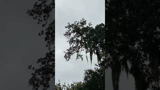 Not what we expected 10am Ian Catagory 1 headed to Charleston #shorts #lowcountry #ian  #hhi2022
