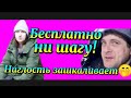 НА СТРИМ ТОЛЬКО С ДЕНЬГАМИ🤭! Деревенский дневник.