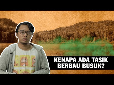 Video: Mengapa Tempoh Saya Berbau: Kematian, Amis, Busuk, Dan Banyak Lagi