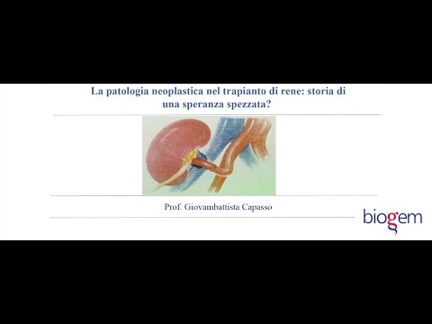 Video: Come I Cani Da Terapia Possono Migliorare La Salute Emotiva Dei Pazienti Ospedalieri