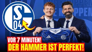 SCHALKE BEBT! EIN NEUER KÖNIG IST GEKRÖNT! WIR SIND ZURÜCK!