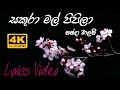 Sakura mal pipila | Nanda malani | Lyrics video