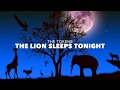 [和訳] The Lion Sleeps Tonight / The Tokens