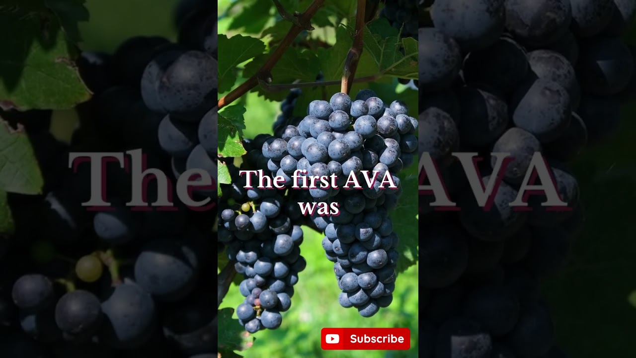 Obsessed with Wine: Wine education podcast Wine Facts