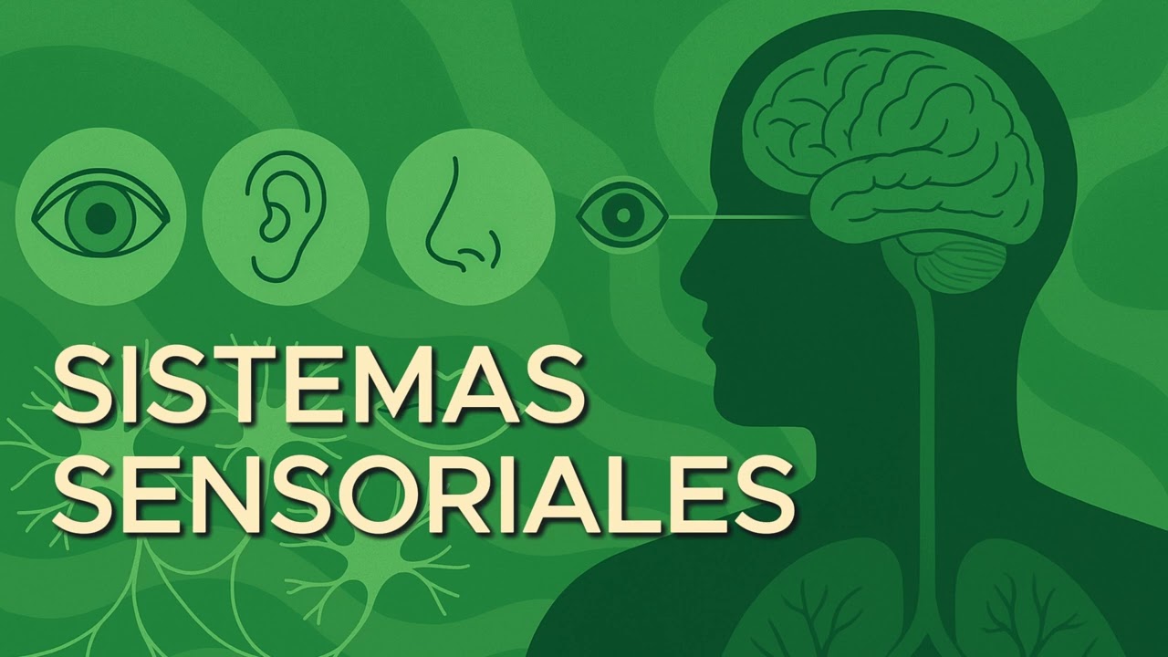 Fundamentos Biológicos de la Conducta: Sistemas Sensoriales (9/13)