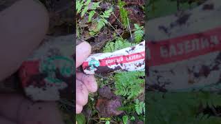 Супер находка в дремучем лесу. Редкая.  Кто потерял?  #metaldetecting