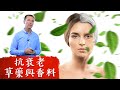 抗老化的調味料及草藥,自然療法,柏格醫生 Dr Berg