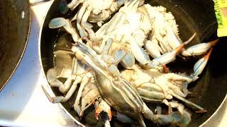 Cooking Big  Crabs from 99 Ranch Market.