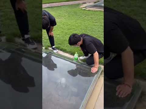 قبور بأغطية شفافة