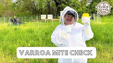 Varroa Mite Check