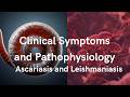 Clinical Symptoms and Pathophysiology of Ascariasis and Leishmaniasis