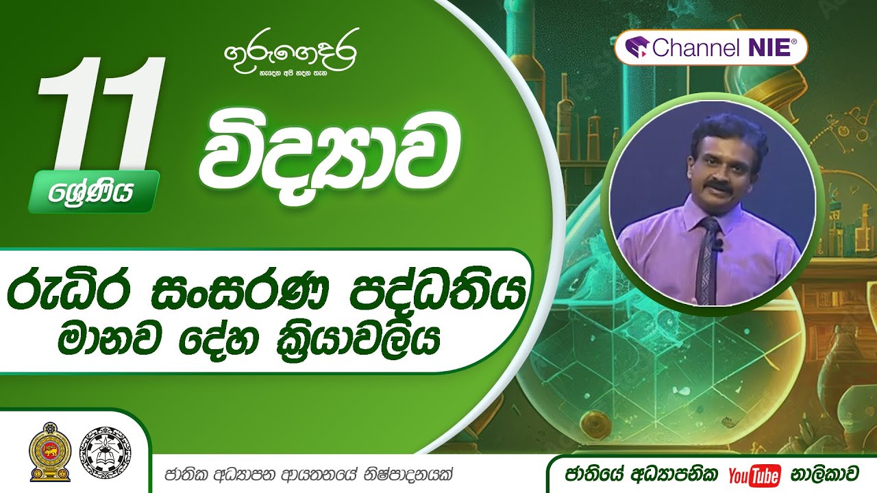 මානව දේහ ක්‍රියාවලි - රුධිර සංසරණ පද්ධතිය - (II වාරය - 6 පාඩම) - 11 ශ්‍රේණිය (විද්‍යාව)