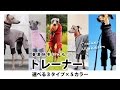 「春夏秋冬いつも。トレーナー」Dog Clothes Trainer