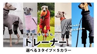 「春夏秋冬いつも。トレーナー」Dog Clothes Trainer