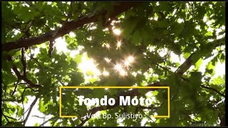 TONDO MOTO