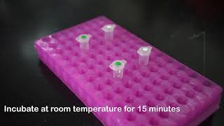 Saliva COVID-19 test for point-of-care use