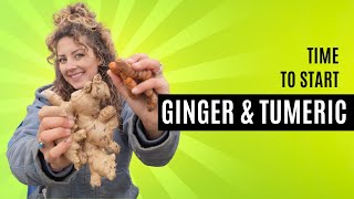 It's Time To Start Your Ginger & Turmeric!