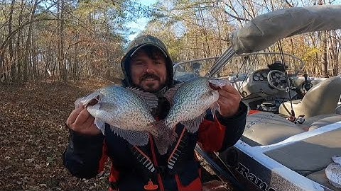 Catching Slab Black Friday Crappie on Clark’s Hill Lake : Livescope Footage w/ Citation Crappie Jigs
