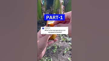 What is the average person not equipped to handle? #atredit #shorts #viralshort #askredditshorts