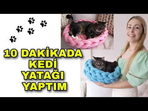 Video: DIY El Sanatları - Tatil Köpek Etiketler