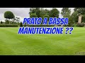 Esiste un prato a bassa manutenzione 