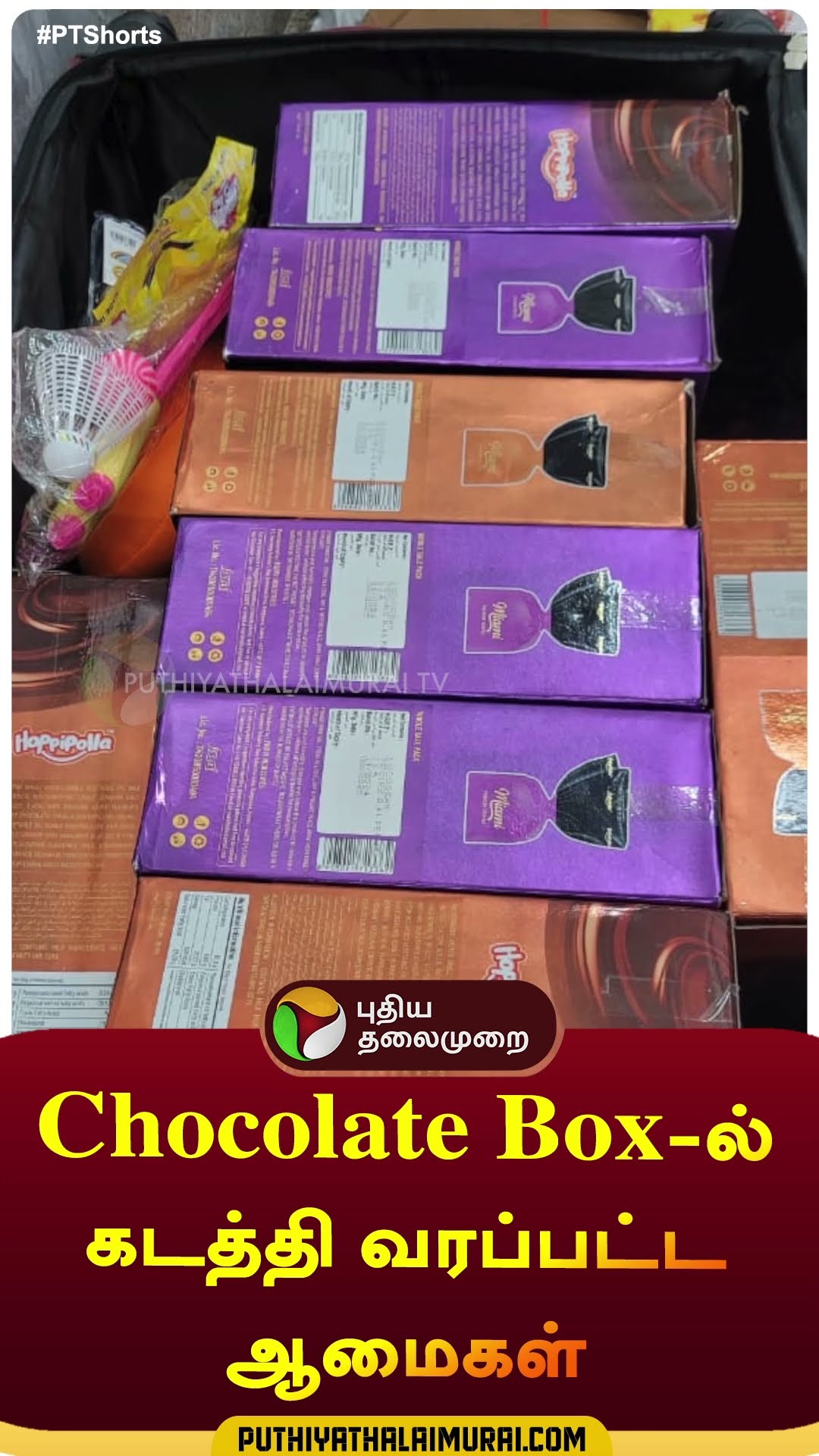 Chocolate Box-ல் கடத்தி வரப்பட்ட ஆமைகள் | #shorts | #turtle | #trichy