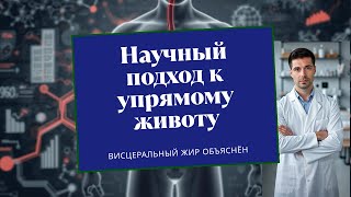 Научный подход к "упрямому" животу: Висцеральный жир, белый vs бурый, и причем тут полифенолы яблока