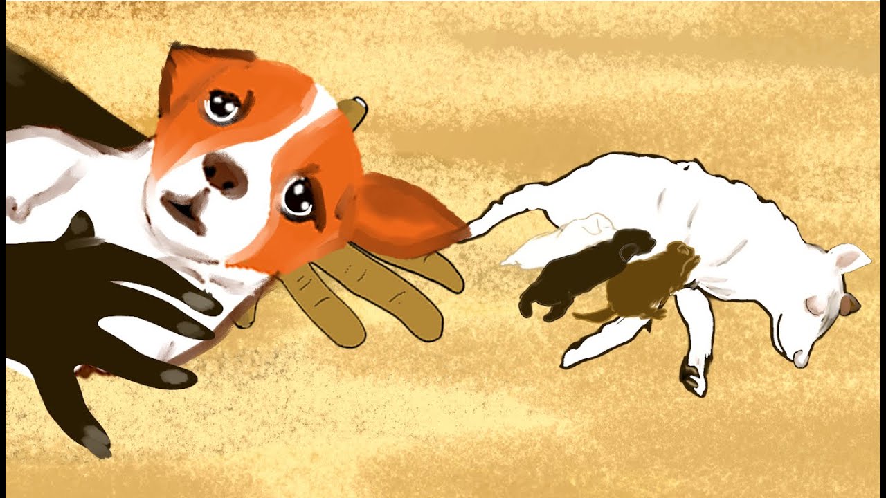 Un esprit dans la maison de Nangdjaki | Contes du Guera