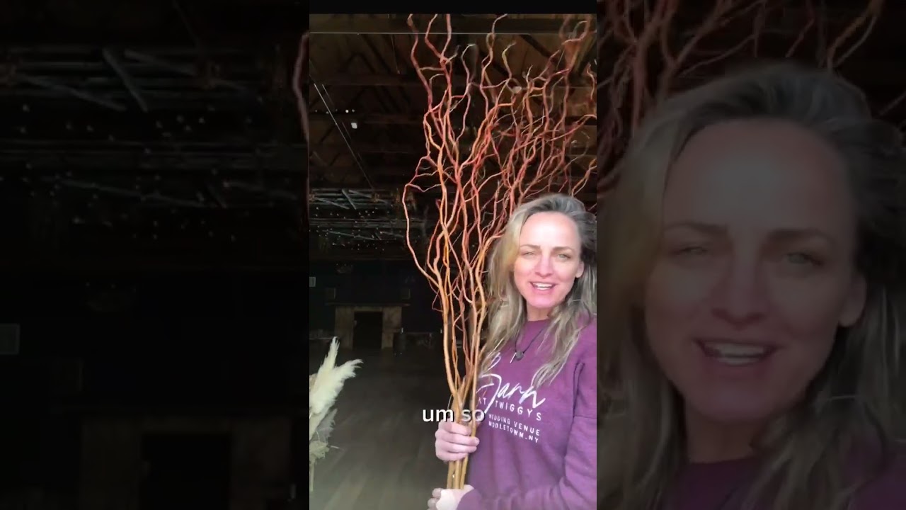 Dad to the Curly Willow Rescue