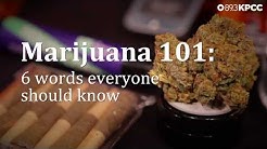 Marijuana 101: 6 words you need to know
