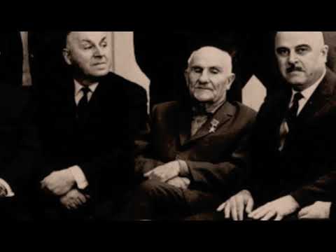 კამელინი