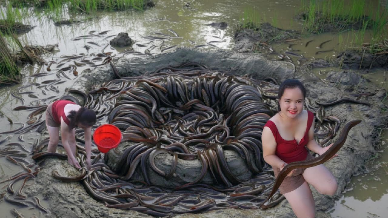 HUGE Eel Caught Using Ancient Vietnamese Trap Method | Truong Thị Ghen