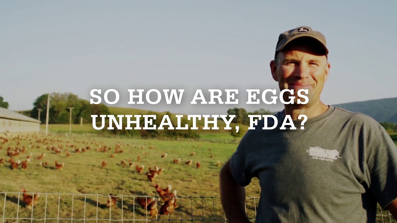 eggs florentine Eggs Are Healthy - For Your Brain | Pete and Gerry's Organic Eggs