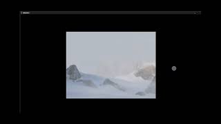 How do i fix the NR2003 game crashing after sierra intro