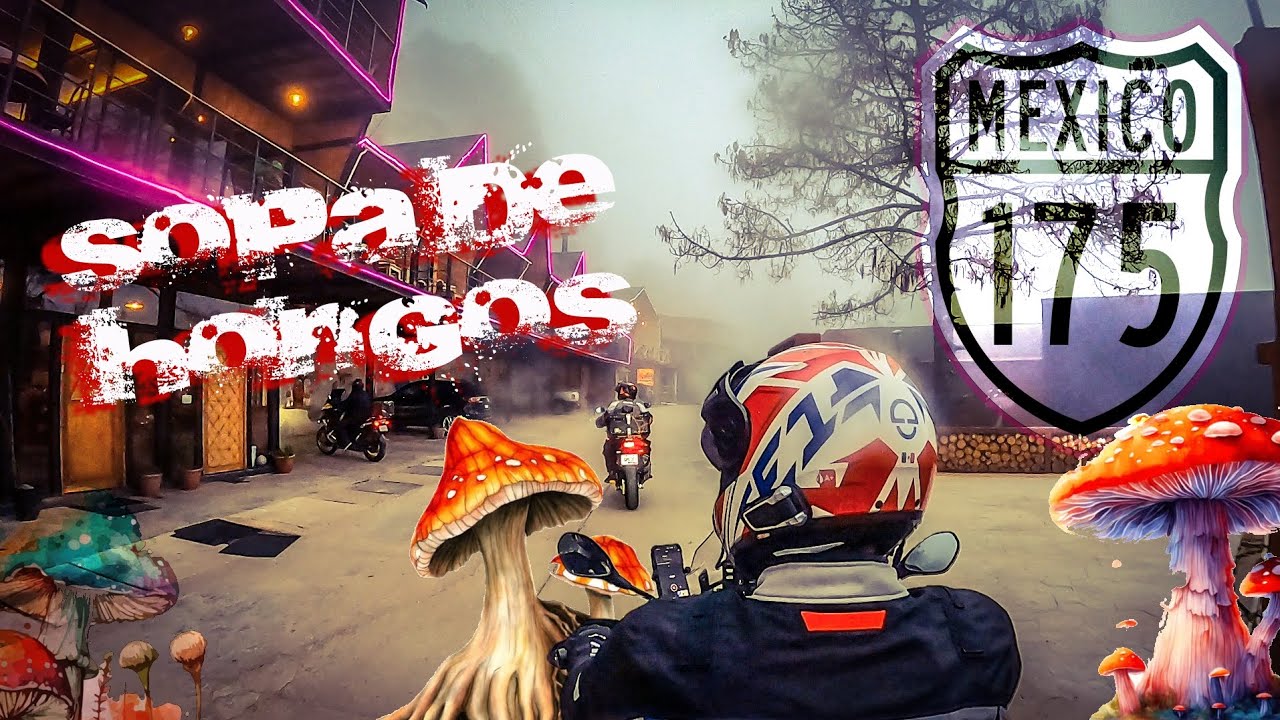 San José del Pacifico, Oaxaca.  Federal 190 y 175 