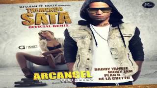 Tremenda Sata (Remix) Arcangel Ft Nicky Jam, De La Ghetto, Daddy Yankee Y Plan B