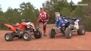 Comparison between a standard quad and a Paris-Dakar quad