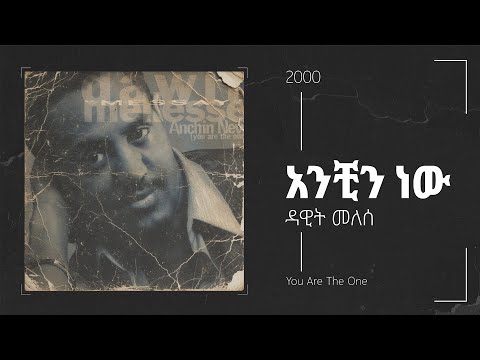 Dawit Mellesse አይሰማሽም አንቺን ነው Album Track 05