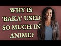 Why is baka used so much in anime