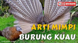 Arti Mimpi Burung Kuau - Melihat atau Mendengar Bunyi Burung Kuau