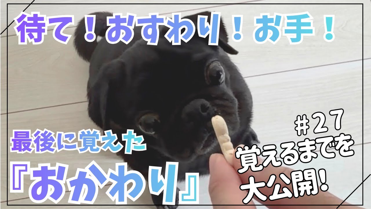 #27 『おかわり』覚えるまでを大公開！