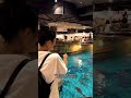 Viral fishing restaurant in japan over 10m views on both tiktok and reels