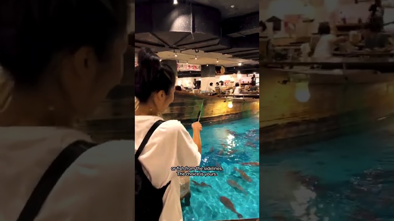 和食店に設置してある「生け簀」 Booked 1 Month in Advance! A Hidden Seafood Gem in a Tiny Seaside
